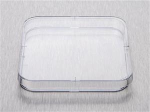 BP124-05 | Corning® Gosselin™ Square Petri Dish 120 x 15 mm, 4 Vents, Sterile, 14/Bag, 252/Case