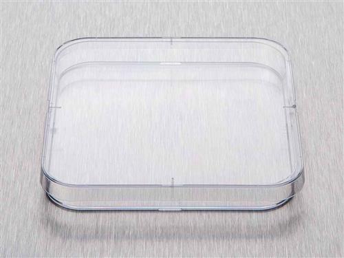 BP124-04 | Corning Gosselin Square Petri Dish 120 x 15 mm 4 V