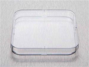 BP124-04 | Corning Gosselin Square Petri Dish 120 x 15 mm 4 V