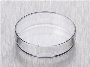 BP53-06 | Corning® Gosselin™ Petri Dish 60 x 15 mm, 6 Vents, Aseptic, Double Outer Bag, 15/Bag, 1620/Case