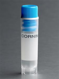 431418 | Corning® 2 mL Blue Cap Internal Threaded Polypropylene Cryogenic Vial, Self-Standing,Round Bottom