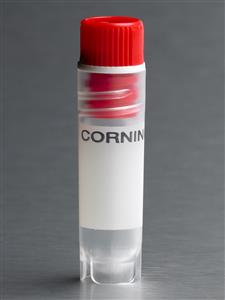 431420 | Corning® 2 mL Red Cap Internal Threaded Polypropylene Cryogenic Vial, Self-Standing,Round Bottom