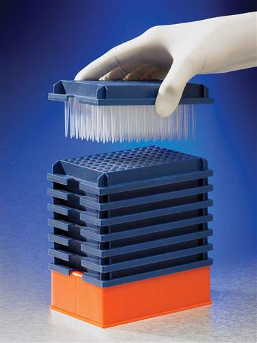 EV-50-NTR | Axygen® 96-well tips, 50µL, Clear, Non-filtered, Non-sterile, Nested Tip Rack