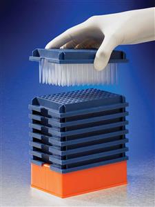 EV-50-NTR | Axygen® 96-well tips, 50µL, Clear, Non-filtered, Non-sterile, Nested Tip Rack