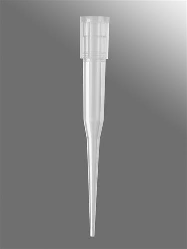 FX-250-R-S | Axygen® 96-well tips, 250µL, Clear, Non-filtered, Sterile, SLAS Rack
