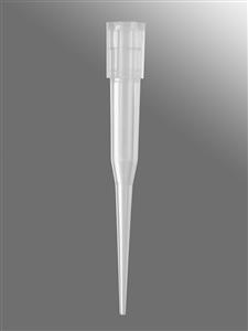 FX-250-R-S | Axygen® 96-well tips, 250µL, Clear, Non-filtered, Sterile, SLAS Rack
