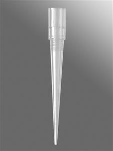 FX-384-R-S | Axygen® 384-well tips, 30µL, Clear, Non-filtered, Sterile, SLAS Rack