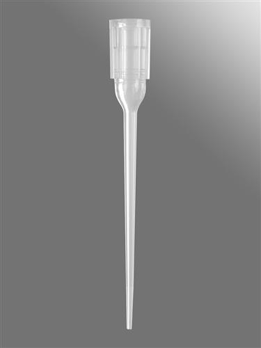 FX-50-R-S | Axygen® 96-well tips, 50µL, Clear, Non-filtered, Sterile, SLAS Rack