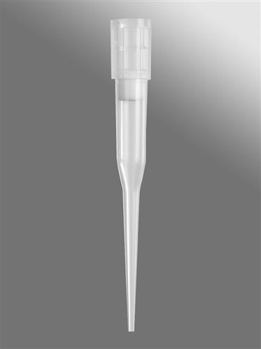 FXF-180-R-S | Axygen® 96-well tips, 165µL, Clear, Filtered, Sterile, SLAS Rack