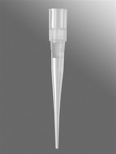 FXF-384-30FP-R-S | Axygen® 384-well tips, 25µL, Clear, Filtered, Sterile, Fine Point, SLAS Rack