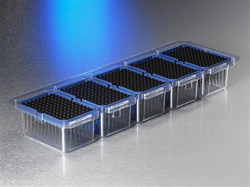 HTF-50-C-HTR-S-5 | Axygen® 96-well tips, 50µL, Clear, Filtered, Sterile, Hanging Rack (5-packs)