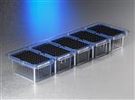 HTF-50-C-HTR-S-5 | Axygen® 96-well tips, 50µL, Clear, Filtered, Sterile, Hanging Rack (5-packs)