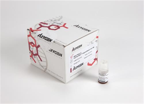 MAG-FRAG-I-5 | Axygen® AxyPrep FragmentSelect-I Kit