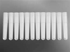 MTS-11-12-C-R-S | Axygen® 96w 1.1 mL Polypropylene Cluster Tubes, 12-Tube Strip Format, S, 8 Strips/Rack, 10 Racks/Pack, 5 Packs/CS
