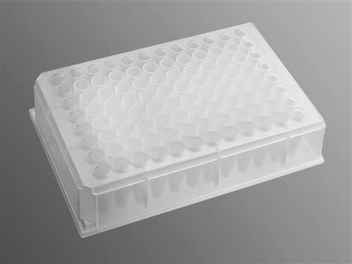 P-DW-500-C | Axygen® 96-well Clear V-Bottom 600 µL Polypropylene Deep Well Plate, 5 per Pack, Nonsterile