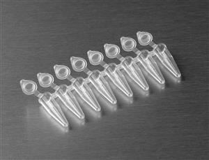 PCR-0208-AF-C | Axygen® 0.2 mL Polypropylene PCR Tube Strips,attached FlCp Strips, 8 Tubes/Strip, 8 FlCps/Strip, Clear, Nonsterile
