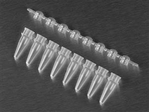 PCR-0208-CP-C | Axygen® 0.2 mL Polypropylene PCR Tube Strips,Domed Cap Strips, 8 Tubes/Strip, 8 Domed Caps/Strip, Clear, Nonsterile