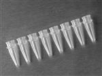 PCR-0208-C | Axygen® 0.2 mL Polypropylene PCR Tube Strips, 8 Tubes/Strip, Clear, Nonsterile