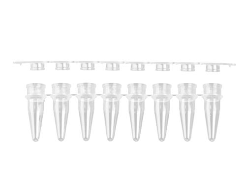 PCR-0208-FCP-C | Axygen® 0.2 mL Polypropylene PCR Tube Strips,FlCp Strips, 8 Tubes/Strip, 8 FlCps/Strip, Clear, Nonsterile