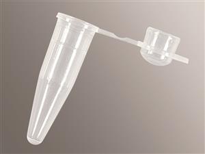 PCR-02D-C | Axygen® 0.2 mL Thin Wall PCR Tubes with Domed Cap, Clear, Nonsterile