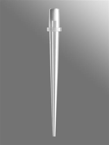 PKF-384-R-S | Axygen® 384-well tips, 30µL, Clear, Filtered, Sterile, SLAS Rack
