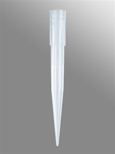 T-1000-B-R | Axygen® 1000 µL Pipet Tips, Beveled, Blue, Nonsterile, Rack Pack, 100 Tips/Rack, 10 Racks/Pack, 5 Packs/CS