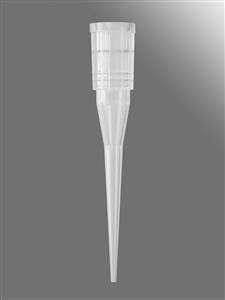 VT-20-R | Axygen® 96-well tips, 20µL, Clear, Non-filtered, Non-sterile, SLAS Rack