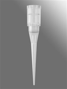 VTF-20-R-S | Axygen® 96-well tips, 20µL, Clear, Filtered, Sterile, SLAS Rack