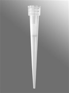 VTF-384-15UL-R-S | Axygen® 384-well tips, 15µL, Clear, Filtered, Sterile, SLAS Rack