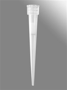 VTF-384-50UL-R-S | Axygen® 384-well tips, 50µL, Clear, Filtered, Sterile, SLAS Rack