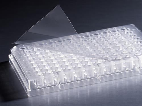 6575 | Corning® Universal Optical Microplate Sealing Tape, Nonsterile