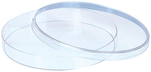 402024-0000 | Petri Dish No Vent CS 480 PS 100mm