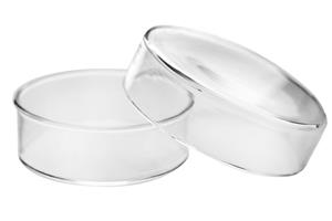CH0370A | Petri Dish, 2" (50mm) - Beaded Edges - Easy to Sterilize for Repeated Use - Borosilicate Glass - Eisco Labs