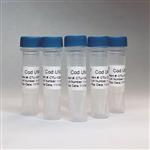 CTU1-1000 | Cod UNG
