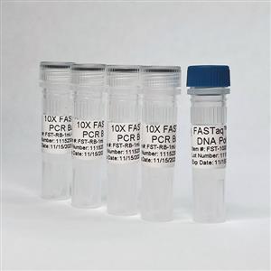 FST-WB-10000 | FASTaq HotStart DNA Polymerase