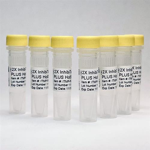 ITMP-PLUS-MM-600 | 2X InhibiTaq Multiplex PLUS HotStart MasterMix