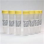 ITMP-PLUS-MM-600 | 2X InhibiTaq Multiplex PLUS HotStart MasterMix