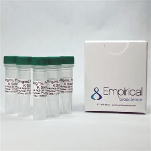 PKS-10mL | Proteinase K