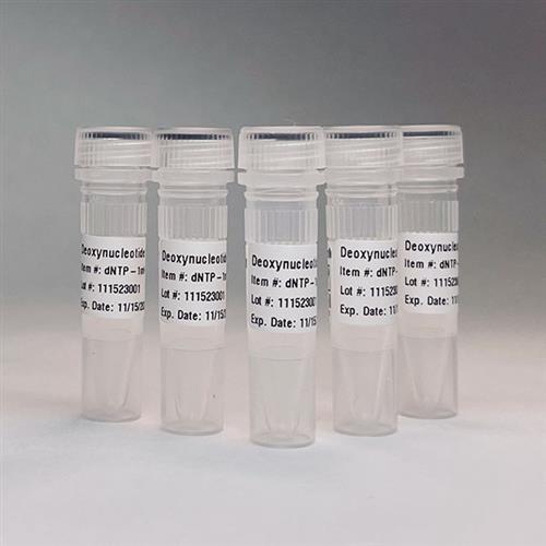 dNTP-1ml | UltraPure Deoxynucleotide Solution Mix