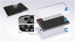 4493 | Cell Migration Kit for IncuCyte S3 or Zoom