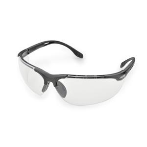 WELSG51CAF | Clear AF PC Lens Black Vented Frame Adjustable Tem