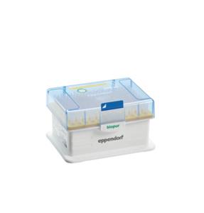 0030075226 | epT.I.P.S.® Racks, Biopur®, 0.1 – 20 µL, 40 mm, medium gray, colorless tips, 480 tips (5 racks × 96 tips). Replaces order no. 0030075323.
