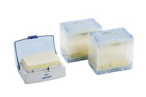 0030076273 | epT.I.P.S.® 384 Set, Eppendorf Quality, 0.1 – 20 µL, 42 mm, light pink, colorless tips, 1,920 tips (5 trays × 384 tips), 1 reusable box. Replaces order no. 0030076028.