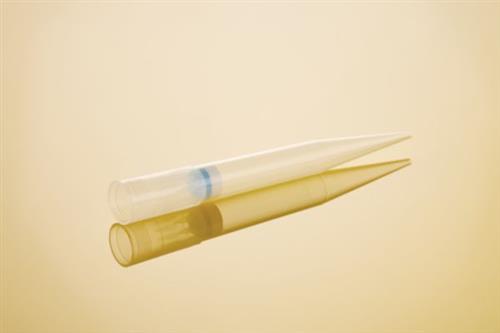 0030081030 | ep Dualfilter T.I.P.S.® BioBased Reloads, PCR clean and sterile, 0.1 – 10 µL M, 40 mm, medium gray, colorless tips, 960 tips (10 trays × 96 tips)