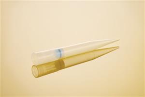 0030081030 | ep Dualfilter T.I.P.S.® BioBased Reloads, PCR clean and sterile, 0.1 – 10 µL M, 40 mm, medium gray, colorless tips, 960 tips (10 trays × 96 tips)