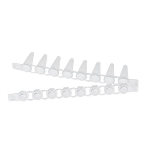 0030124804 | Eppendorf PCR Tube Strips, 0.1 mL, PCR clean, without lids (10 × 12 strips)