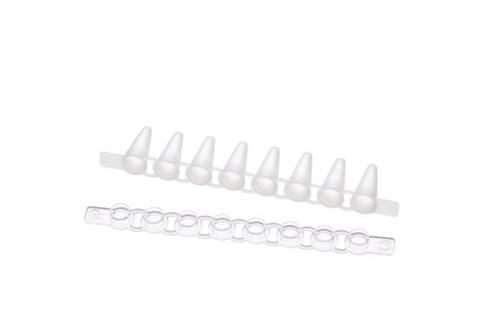 0030124901 | Eppendorf Fast PCR Tube Strips, 0.1 mL, without lids, PCR clean, 120 pcs. (10 × 12 pcs.)