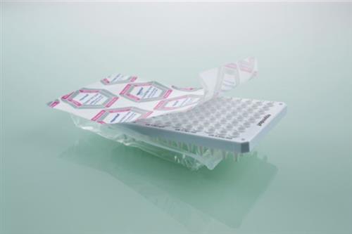 0030129628 | Eppendorf twin.tec® PCR Plate 384, skirted, 45 µL, Forensic DNA Grade, colorless, 10 plates, individually wrapped