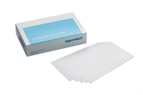 0030132718 | Eppendorf twin.tec® 96 real-time PCR Plate, unskirted, low profile, 150 µL, PCR clean, blue, wells white, 20 plates