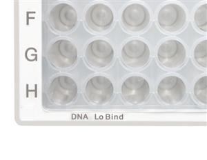0030504305 | Deepwell Plate 96/2000 µL, Protein LoBind®, wells colorless, 2,000 µL, PCR clean, white, 20 plates (5 bags × 4 plates)